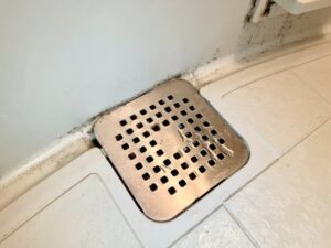 排水溝の汚れを掃除したい